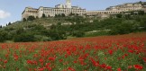 Assisi - wine tour in Umbria- Italy Tours with Discover your Ita